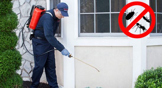 Karasu Karınca İlaçlama böcek ilaçlama ve haşere kontrolü — ilaclama-tr.com